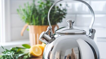 2 astuces pour éradiquer les bactéries et éliminer le calcaire de votre bouilloire en un instant selon les experts