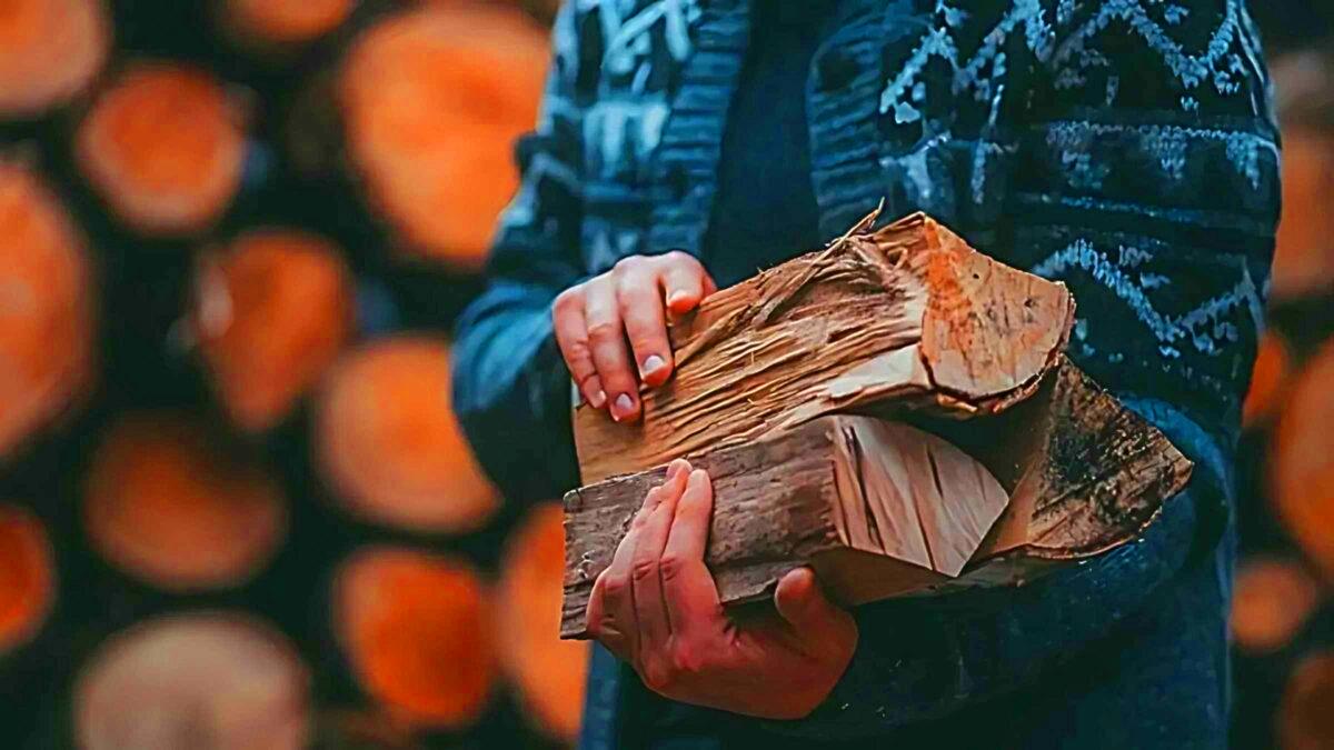 Bois de chauffage : « attendez octobre pour acheter » conseil un négociant pour économiser 10 à 15% sur la facture