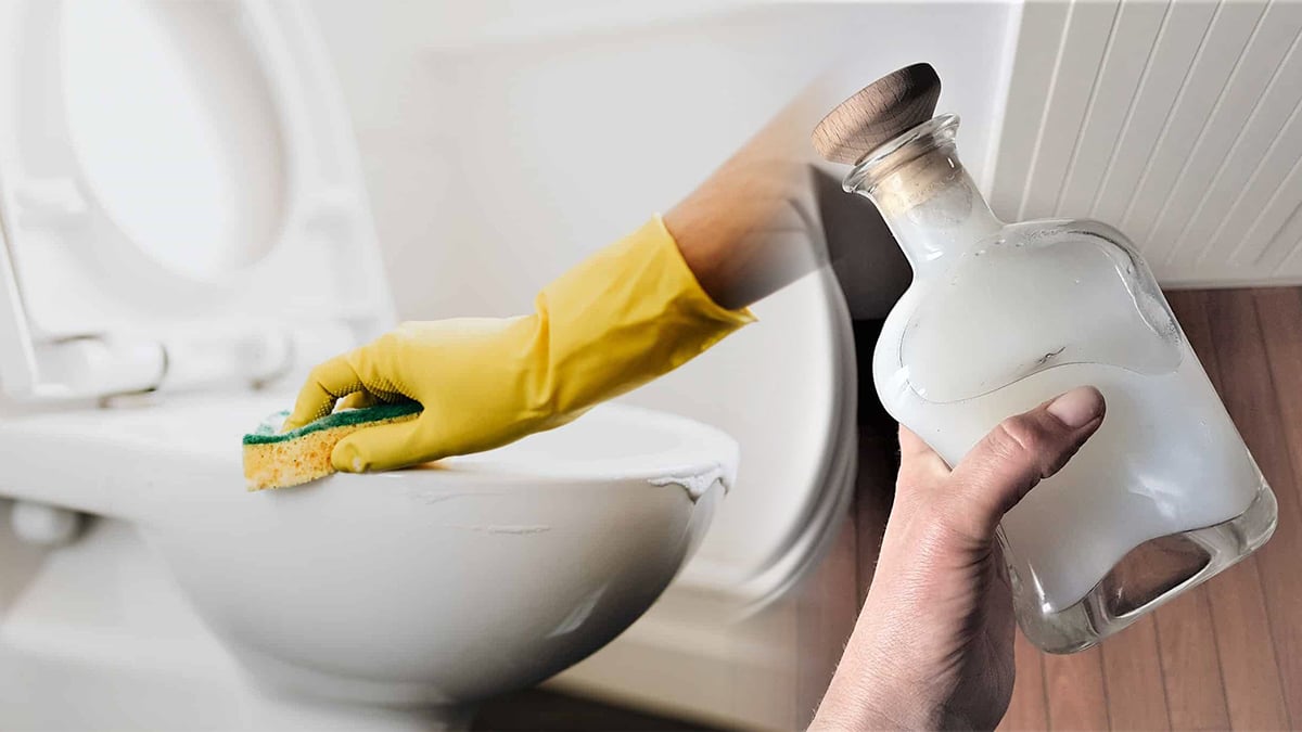 Je partage l’astuce de ma grand-mère pour détartrer un WC sans frotter et le rendre comme neuf