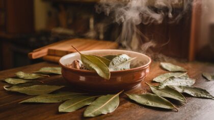 Cette raison pour laquelle tout le monde met des feuilles de laurier mouillées dans la cuisine