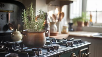 Faire bouillir du romarin chez soi : une astuce magique va changer votre quotidien, selon les experts